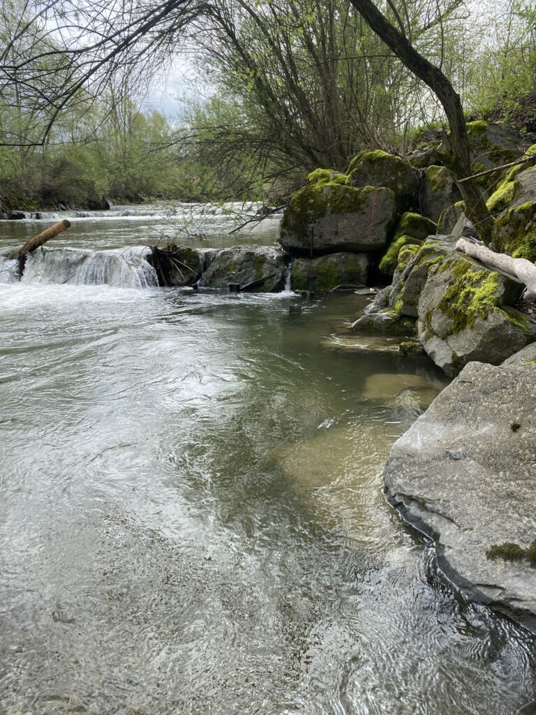 Bergbachfischen auf Bachforellen im Kanton Bern, Sa. 11.04.2026